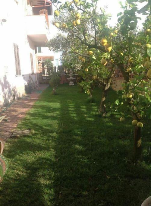 Villa Su Suergiu San Giovanni Suèrgiu Exterior foto